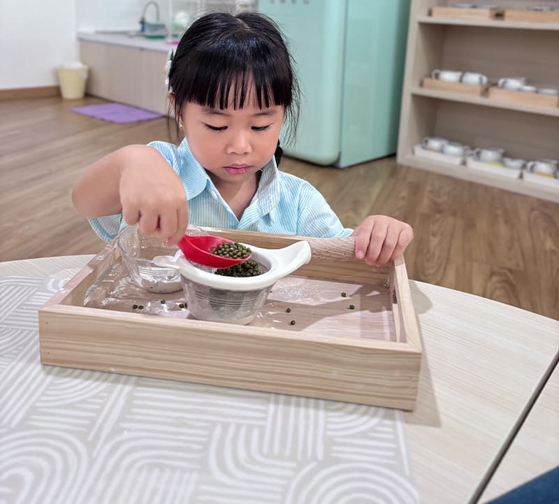 curiculum-Practical Life